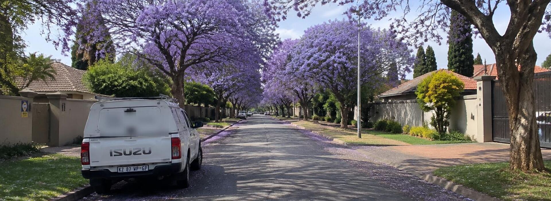 Jacaranda-lined street in Kempton Park