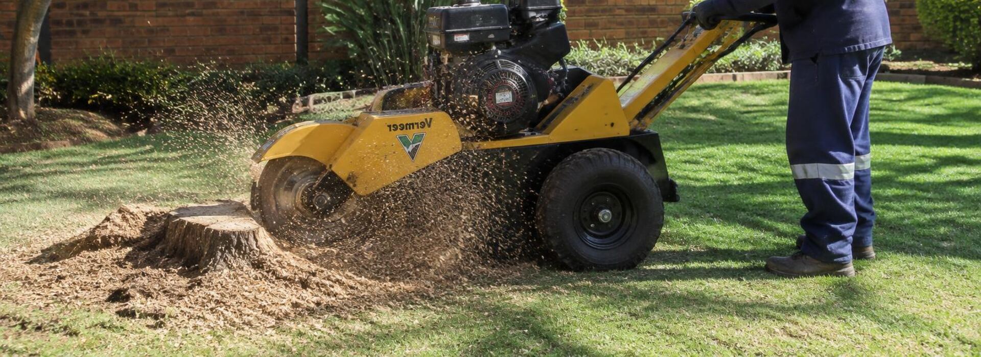 Stump Removal and Grinding