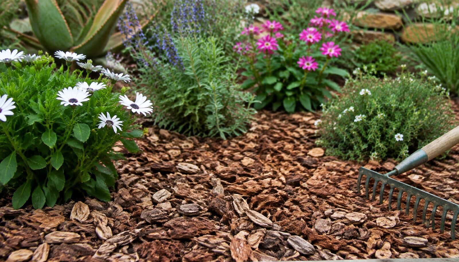 Using Wood Chip Mulch in Your Garden