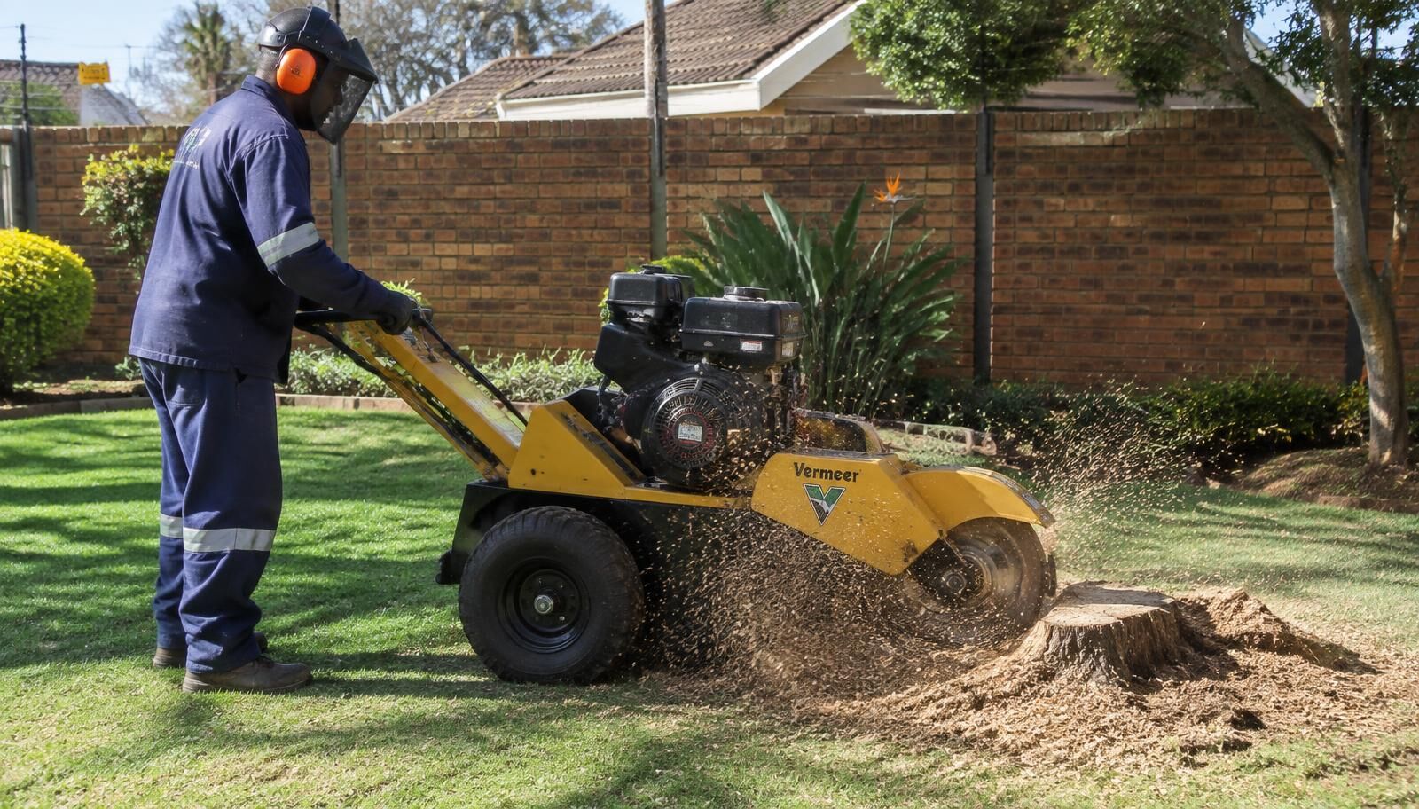 Stump Removal and Grinding in Kempton Park